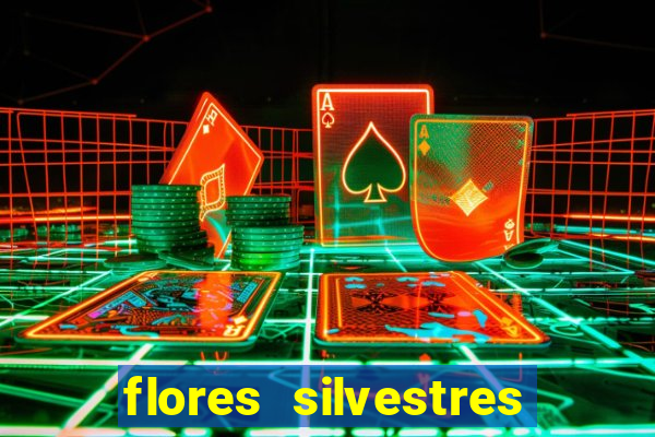 flores silvestres desbravadores desbravadores 25