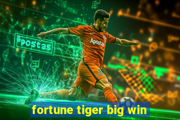 fortune tiger big win