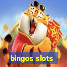 bingos slots