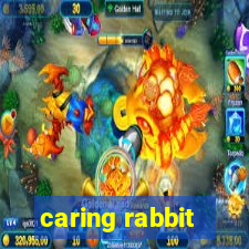 caring rabbit