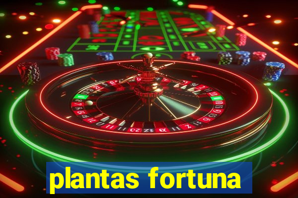 plantas fortuna