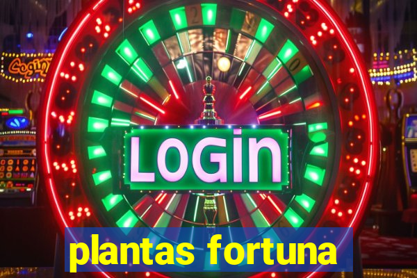 plantas fortuna