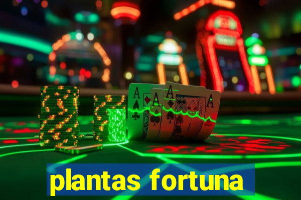 plantas fortuna