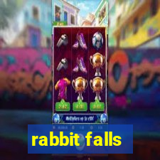 rabbit falls