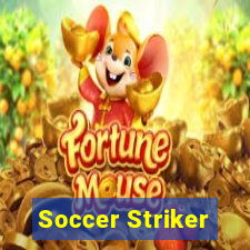 Soccer Striker