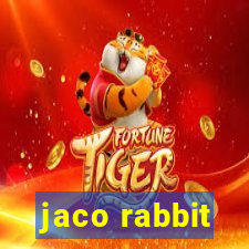 jaco rabbit