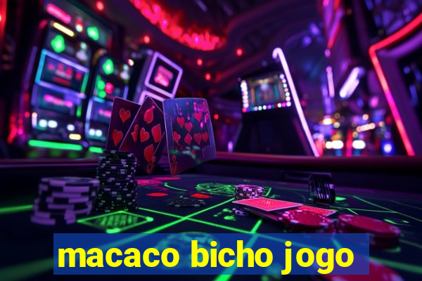 macaco bicho jogo