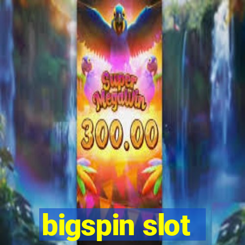 bigspin slot