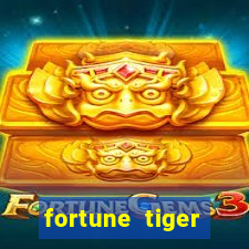 fortune tiger esportes da sorte