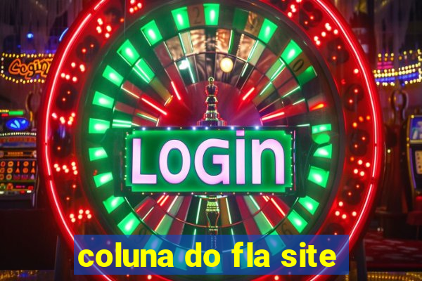 coluna do fla site