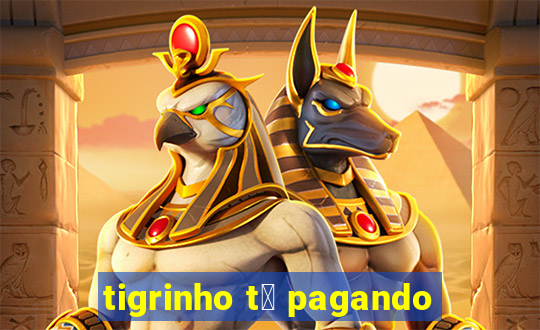 tigrinho t谩 pagando