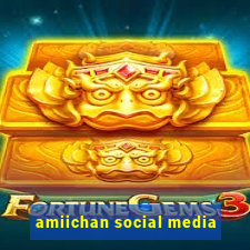 amiichan social media