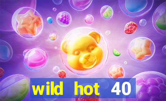 wild hot 40 christmas slot