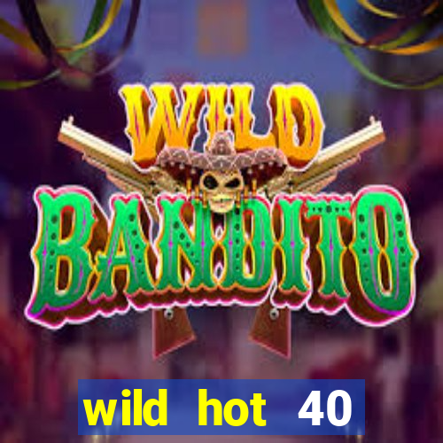 wild hot 40 christmas slot