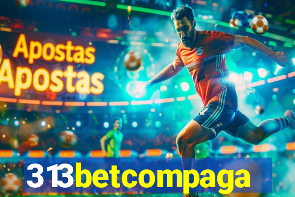 313betcompaga