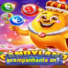 acompanhante an?