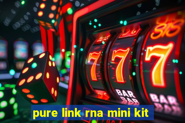 pure link rna mini kit