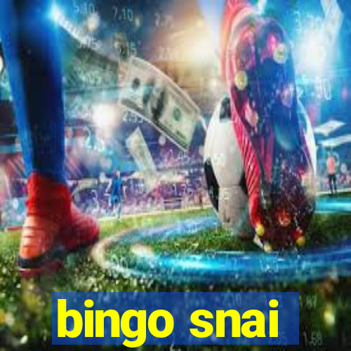 bingo snai