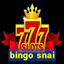 bingo snai