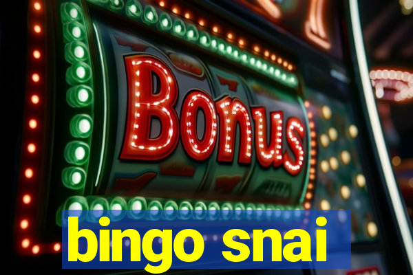 bingo snai