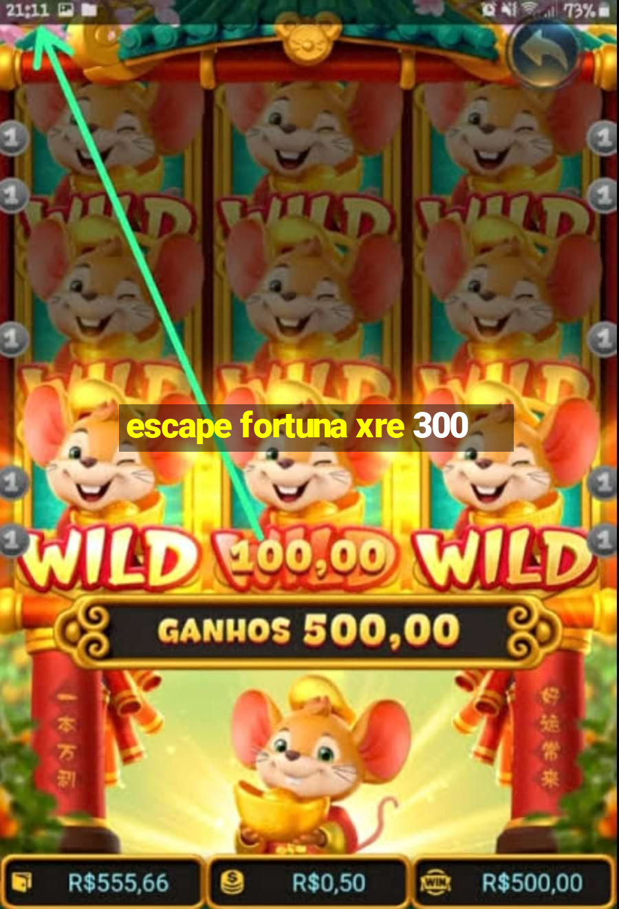 escape fortuna xre 300