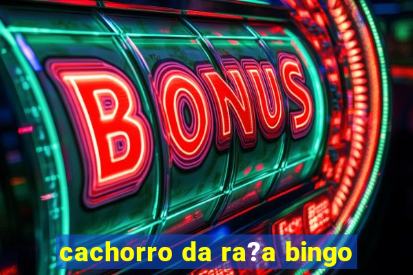 cachorro da ra?a bingo