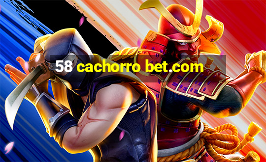 58 cachorro bet.com