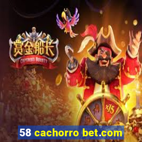 58 cachorro bet.com