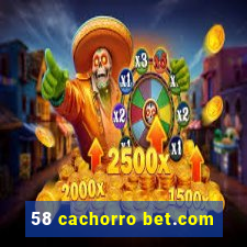 58 cachorro bet.com