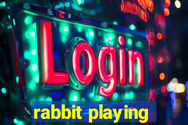 rabbit playing