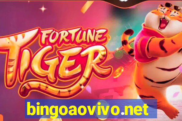 bingoaovivo.net