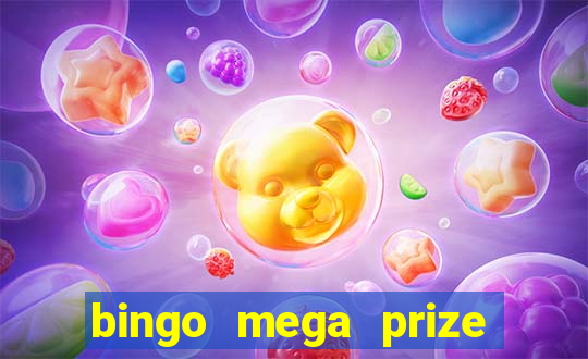 bingo mega prize paga mesmo