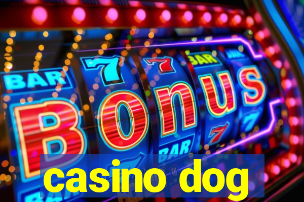 casino dog