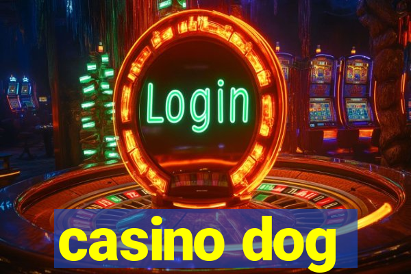 casino dog