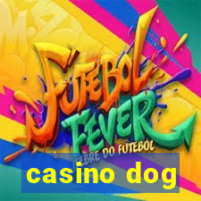 casino dog