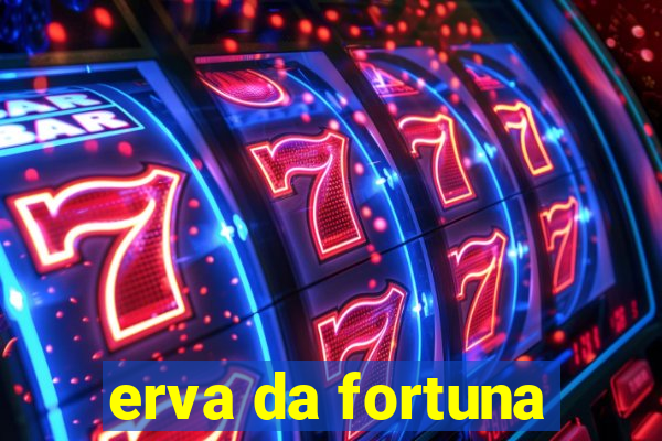 erva da fortuna