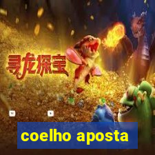 coelho aposta