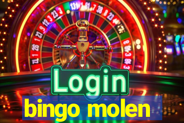 bingo molen