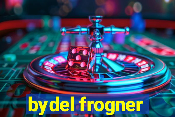 bydel frogner