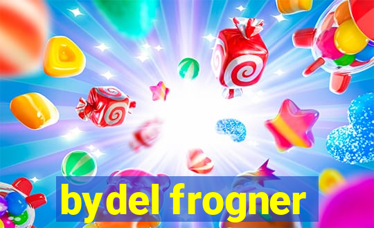 bydel frogner