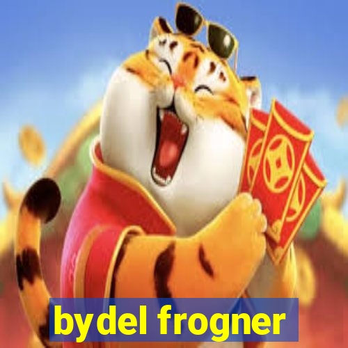 bydel frogner