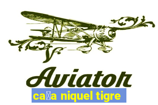 ca莽a niquel tigre