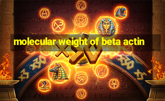 molecular weight of beta actin