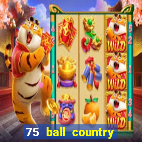 75 ball country road bingo