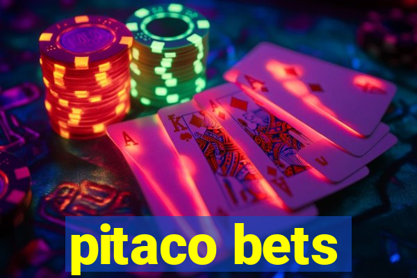 pitaco bets