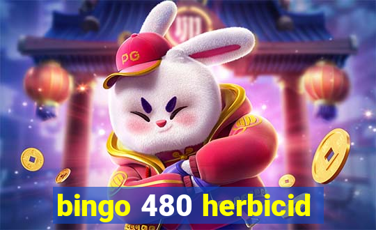 bingo 480 herbicid