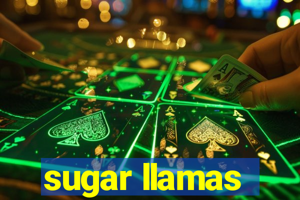 sugar llamas