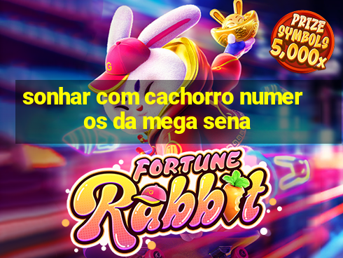 sonhar com cachorro numeros da mega sena