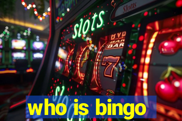 who is bingo