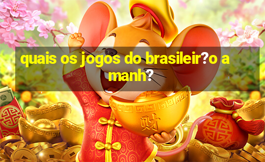 quais os jogos do brasileir?o amanh?